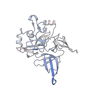 0598_6olz_BE_v1-1
Human ribosome nascent chain complex (PCSK9-RNC) stalled by a drug-like molecule with PP tRNA