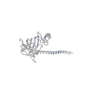 0598_6olz_BG_v1-1
Human ribosome nascent chain complex (PCSK9-RNC) stalled by a drug-like molecule with PP tRNA