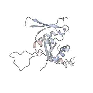 0598_6olz_BH_v1-1
Human ribosome nascent chain complex (PCSK9-RNC) stalled by a drug-like molecule with PP tRNA