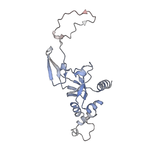 0598_6olz_BI_v1-1
Human ribosome nascent chain complex (PCSK9-RNC) stalled by a drug-like molecule with PP tRNA