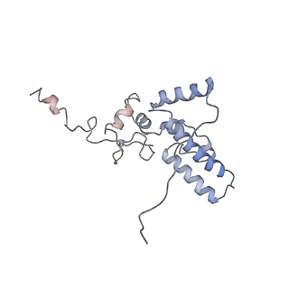 0598_6olz_BJ_v1-1
Human ribosome nascent chain complex (PCSK9-RNC) stalled by a drug-like molecule with PP tRNA