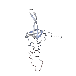 0598_6olz_BL_v1-1
Human ribosome nascent chain complex (PCSK9-RNC) stalled by a drug-like molecule with PP tRNA