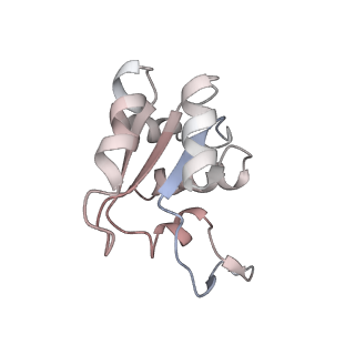0598_6olz_BM_v1-1
Human ribosome nascent chain complex (PCSK9-RNC) stalled by a drug-like molecule with PP tRNA