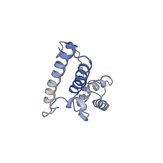 0598_6olz_BN_v1-1
Human ribosome nascent chain complex (PCSK9-RNC) stalled by a drug-like molecule with PP tRNA