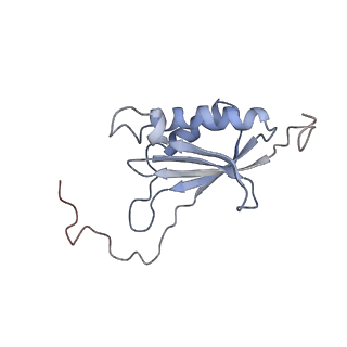 0598_6olz_BO_v1-1
Human ribosome nascent chain complex (PCSK9-RNC) stalled by a drug-like molecule with PP tRNA