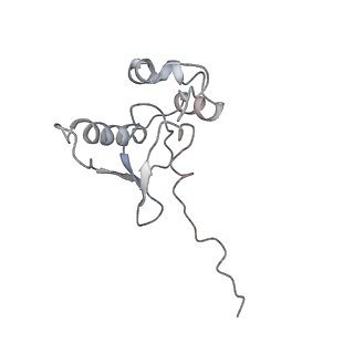 0598_6olz_BP_v1-1
Human ribosome nascent chain complex (PCSK9-RNC) stalled by a drug-like molecule with PP tRNA
