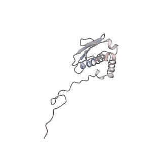 0598_6olz_BQ_v1-1
Human ribosome nascent chain complex (PCSK9-RNC) stalled by a drug-like molecule with PP tRNA