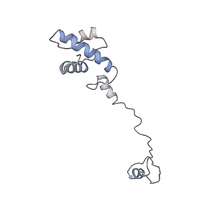 0598_6olz_BR_v1-1
Human ribosome nascent chain complex (PCSK9-RNC) stalled by a drug-like molecule with PP tRNA