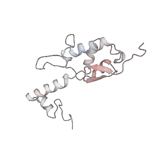 0598_6olz_BS_v1-1
Human ribosome nascent chain complex (PCSK9-RNC) stalled by a drug-like molecule with PP tRNA