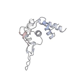 0598_6olz_BT_v1-1
Human ribosome nascent chain complex (PCSK9-RNC) stalled by a drug-like molecule with PP tRNA