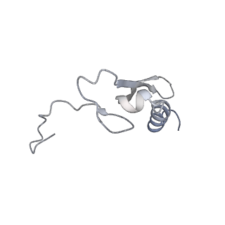 0598_6olz_BV_v1-1
Human ribosome nascent chain complex (PCSK9-RNC) stalled by a drug-like molecule with PP tRNA