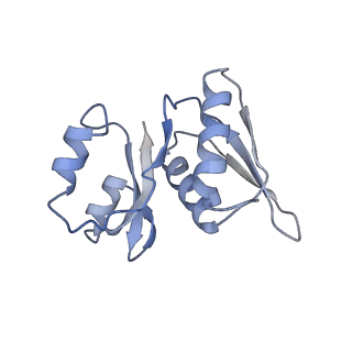 0598_6olz_BW_v1-1
Human ribosome nascent chain complex (PCSK9-RNC) stalled by a drug-like molecule with PP tRNA