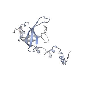 0598_6olz_BX_v1-1
Human ribosome nascent chain complex (PCSK9-RNC) stalled by a drug-like molecule with PP tRNA