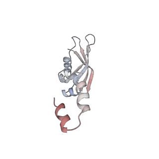 0598_6olz_BY_v1-1
Human ribosome nascent chain complex (PCSK9-RNC) stalled by a drug-like molecule with PP tRNA