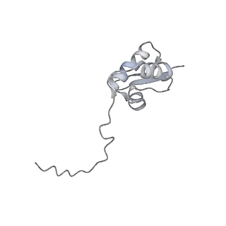 0598_6olz_BZ_v1-1
Human ribosome nascent chain complex (PCSK9-RNC) stalled by a drug-like molecule with PP tRNA
