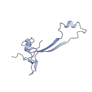 0598_6olz_Ba_v1-1
Human ribosome nascent chain complex (PCSK9-RNC) stalled by a drug-like molecule with PP tRNA