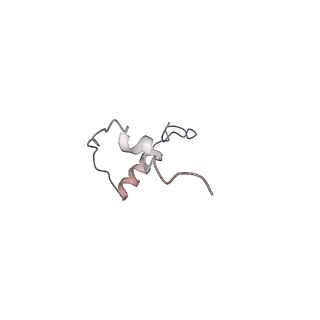 0598_6olz_Be_v1-1
Human ribosome nascent chain complex (PCSK9-RNC) stalled by a drug-like molecule with PP tRNA