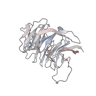 0598_6olz_Bg_v1-1
Human ribosome nascent chain complex (PCSK9-RNC) stalled by a drug-like molecule with PP tRNA