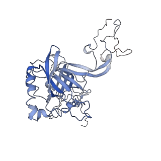 0599_6olf_B_v1-1
Human ribosome nascent chain complex (CDH1-RNC) stalled by a drug-like molecule with AA and PE tRNAs