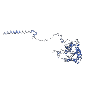 0599_6olf_C_v1-1
Human ribosome nascent chain complex (CDH1-RNC) stalled by a drug-like molecule with AA and PE tRNAs
