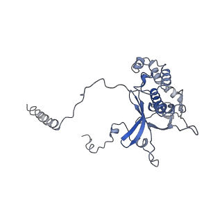 0599_6olf_F_v1-1
Human ribosome nascent chain complex (CDH1-RNC) stalled by a drug-like molecule with AA and PE tRNAs
