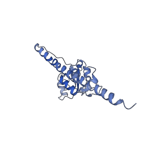 0599_6olf_H_v1-1
Human ribosome nascent chain complex (CDH1-RNC) stalled by a drug-like molecule with AA and PE tRNAs