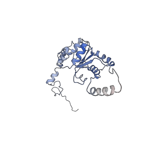0599_6olf_I_v1-1
Human ribosome nascent chain complex (CDH1-RNC) stalled by a drug-like molecule with AA and PE tRNAs