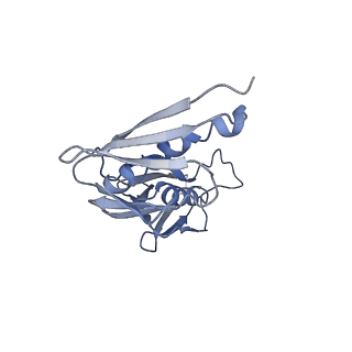0599_6olf_J_v1-1
Human ribosome nascent chain complex (CDH1-RNC) stalled by a drug-like molecule with AA and PE tRNAs