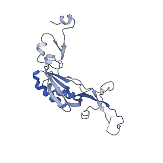 0599_6olf_K_v1-1
Human ribosome nascent chain complex (CDH1-RNC) stalled by a drug-like molecule with AA and PE tRNAs