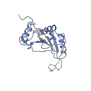0599_6olf_L_v1-1
Human ribosome nascent chain complex (CDH1-RNC) stalled by a drug-like molecule with AA and PE tRNAs