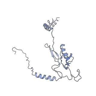 0599_6olf_M_v1-1
Human ribosome nascent chain complex (CDH1-RNC) stalled by a drug-like molecule with AA and PE tRNAs