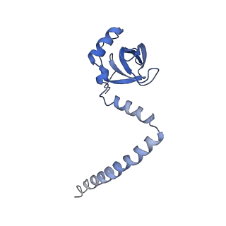 0599_6olf_N_v1-1
Human ribosome nascent chain complex (CDH1-RNC) stalled by a drug-like molecule with AA and PE tRNAs