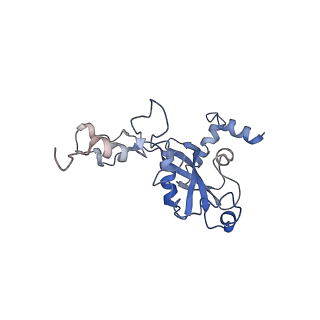 0599_6olf_O_v1-1
Human ribosome nascent chain complex (CDH1-RNC) stalled by a drug-like molecule with AA and PE tRNAs
