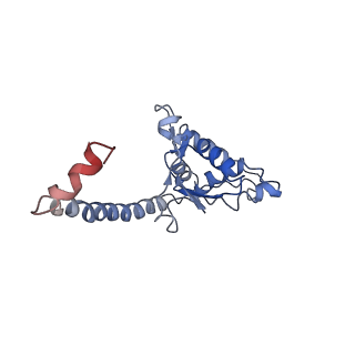 0599_6olf_P_v1-1
Human ribosome nascent chain complex (CDH1-RNC) stalled by a drug-like molecule with AA and PE tRNAs