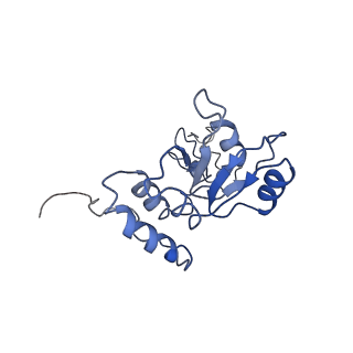 0599_6olf_R_v1-1
Human ribosome nascent chain complex (CDH1-RNC) stalled by a drug-like molecule with AA and PE tRNAs