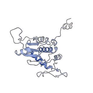 0599_6olf_SA_v1-1
Human ribosome nascent chain complex (CDH1-RNC) stalled by a drug-like molecule with AA and PE tRNAs