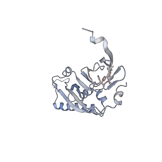 0599_6olf_SB_v1-1
Human ribosome nascent chain complex (CDH1-RNC) stalled by a drug-like molecule with AA and PE tRNAs