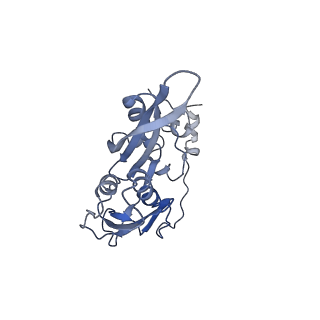 0599_6olf_SC_v1-1
Human ribosome nascent chain complex (CDH1-RNC) stalled by a drug-like molecule with AA and PE tRNAs