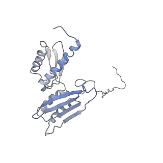 0599_6olf_SD_v1-1
Human ribosome nascent chain complex (CDH1-RNC) stalled by a drug-like molecule with AA and PE tRNAs