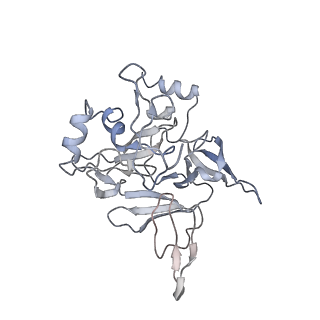 0599_6olf_SE_v1-1
Human ribosome nascent chain complex (CDH1-RNC) stalled by a drug-like molecule with AA and PE tRNAs