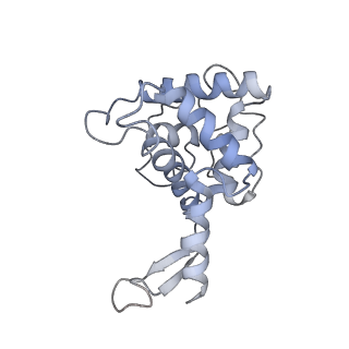 0599_6olf_SF_v1-1
Human ribosome nascent chain complex (CDH1-RNC) stalled by a drug-like molecule with AA and PE tRNAs