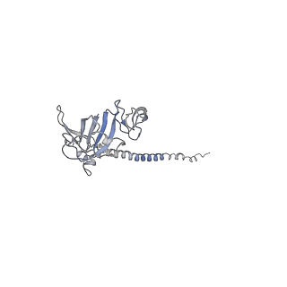 0599_6olf_SG_v1-1
Human ribosome nascent chain complex (CDH1-RNC) stalled by a drug-like molecule with AA and PE tRNAs