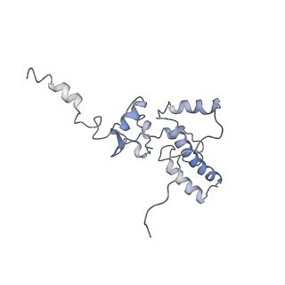 0599_6olf_SJ_v1-1
Human ribosome nascent chain complex (CDH1-RNC) stalled by a drug-like molecule with AA and PE tRNAs