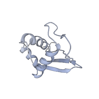 0599_6olf_SK_v1-1
Human ribosome nascent chain complex (CDH1-RNC) stalled by a drug-like molecule with AA and PE tRNAs