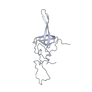 0599_6olf_SL_v1-1
Human ribosome nascent chain complex (CDH1-RNC) stalled by a drug-like molecule with AA and PE tRNAs