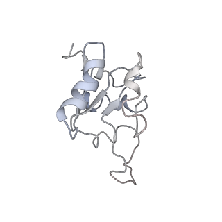 0599_6olf_SM_v1-1
Human ribosome nascent chain complex (CDH1-RNC) stalled by a drug-like molecule with AA and PE tRNAs