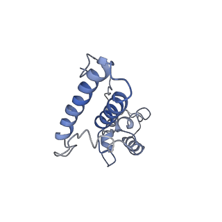 0599_6olf_SN_v1-1
Human ribosome nascent chain complex (CDH1-RNC) stalled by a drug-like molecule with AA and PE tRNAs