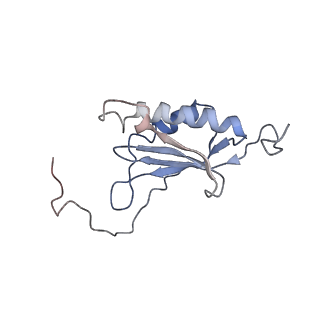 0599_6olf_SO_v1-1
Human ribosome nascent chain complex (CDH1-RNC) stalled by a drug-like molecule with AA and PE tRNAs