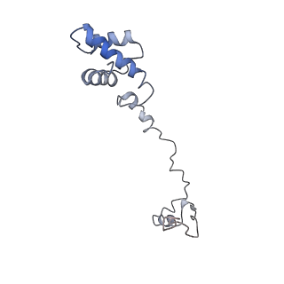 0599_6olf_SR_v1-1
Human ribosome nascent chain complex (CDH1-RNC) stalled by a drug-like molecule with AA and PE tRNAs