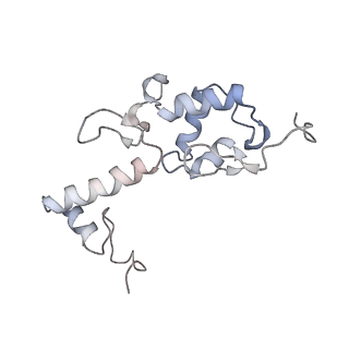 0599_6olf_SS_v1-1
Human ribosome nascent chain complex (CDH1-RNC) stalled by a drug-like molecule with AA and PE tRNAs